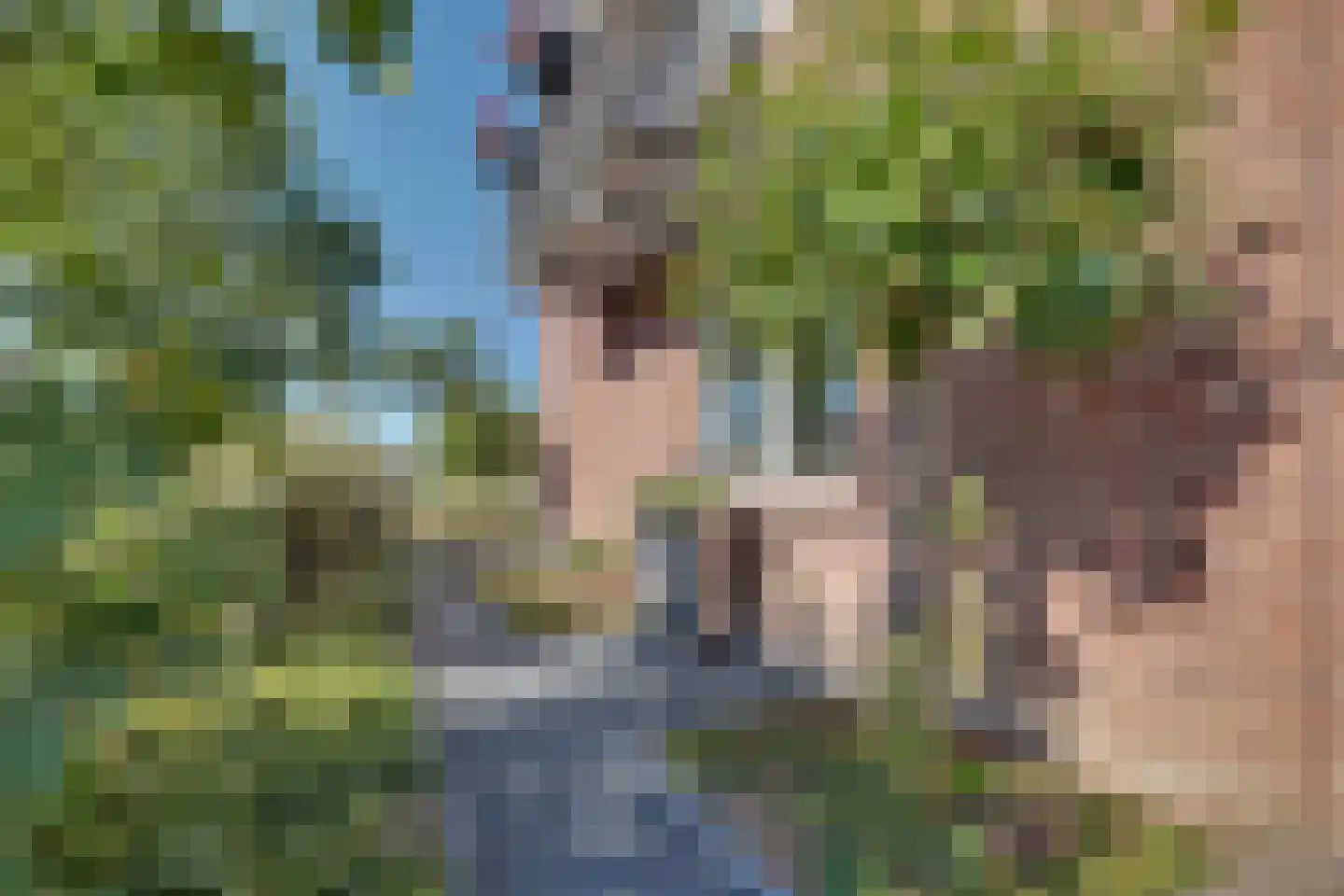 Middag 50 Babberich thumbnail 8