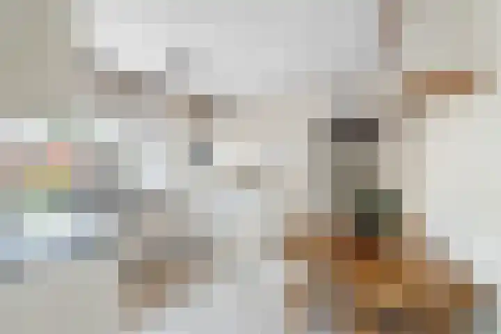 Middag 67 Babberich thumbnail 18