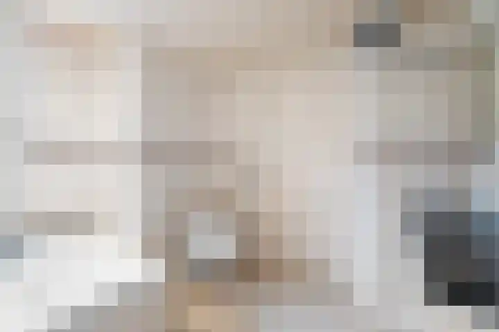 Middag 67 Babberich thumbnail 31