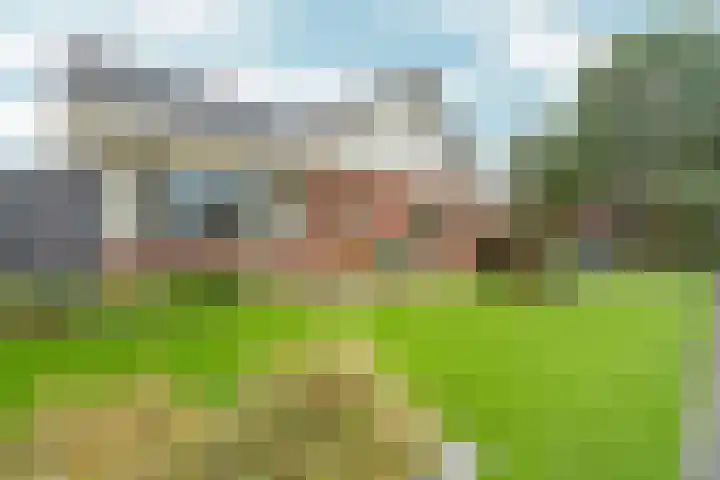 Middag 67 Babberich thumbnail 55