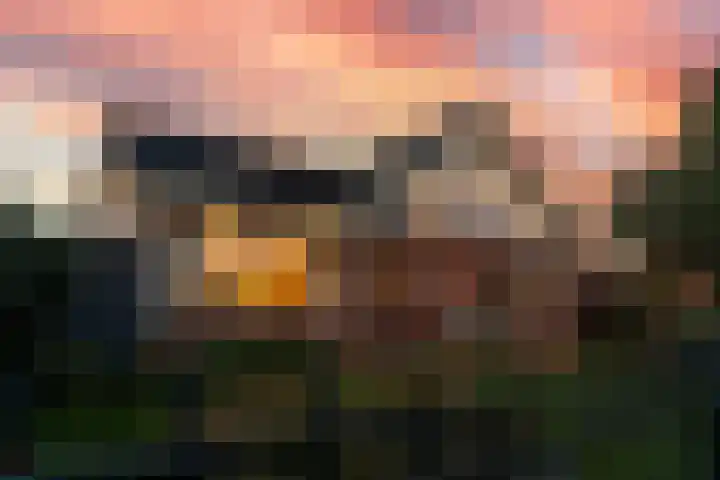 Middag 67 Babberich thumbnail 60