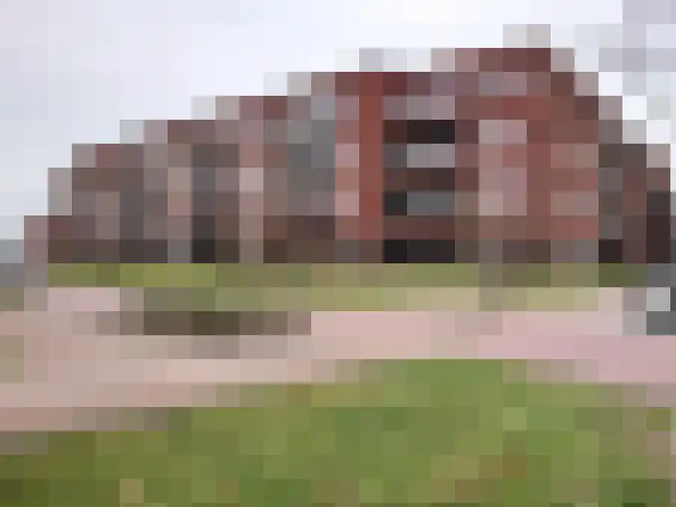 Middegaalspad 12 Veghel