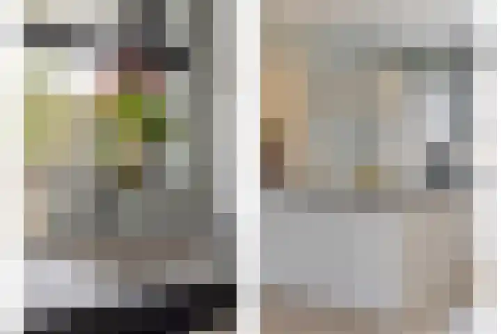 Middegaalspad 202 Veghel thumbnail 12