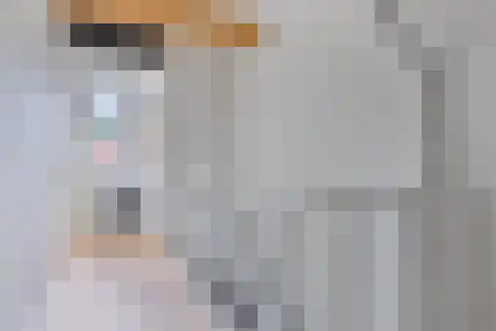 Middegaalspad 202 Veghel thumbnail 24