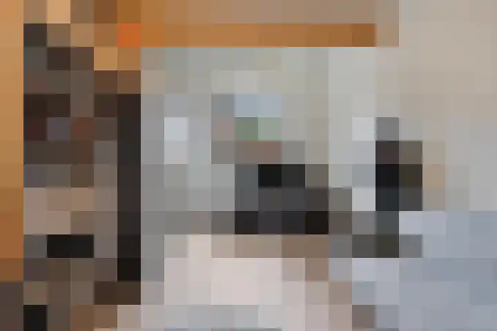 Middegaalspad 202 Veghel thumbnail 27
