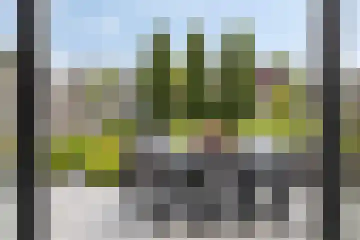 Middegaalspad 202 Veghel thumbnail 28