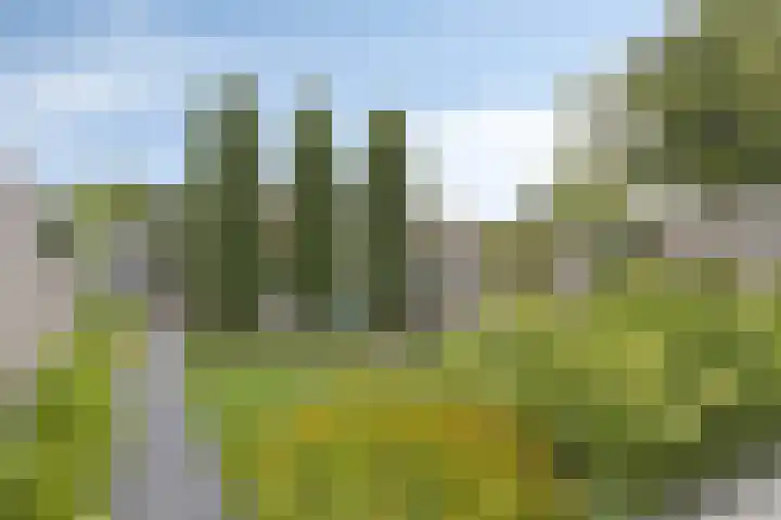 Middegaalspad 202 Veghel thumbnail 29