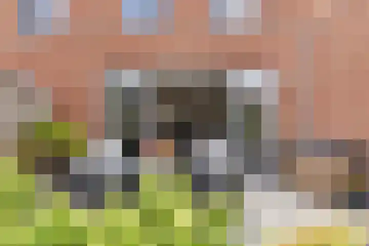 Middegaalspad 202 Veghel thumbnail 33