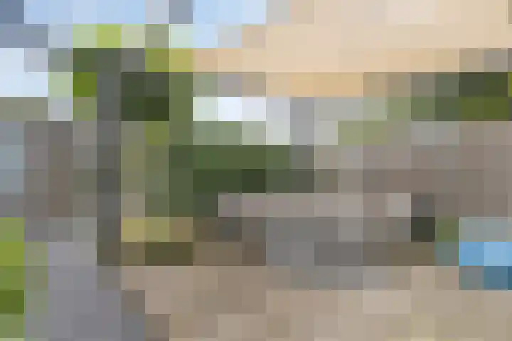 Middegaalspad 202 Veghel thumbnail 36