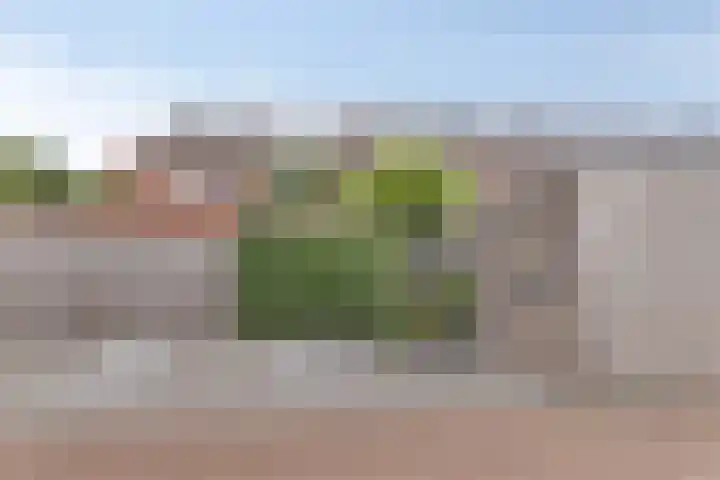 Middegaalspad 202 Veghel thumbnail 38