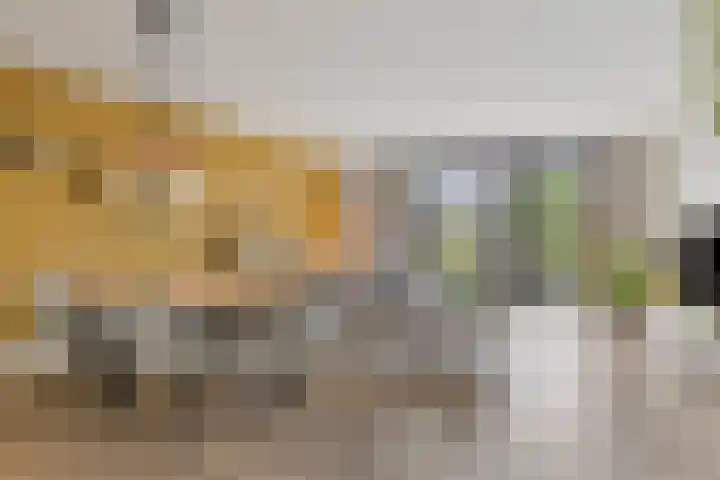 Middegaalspad 202 Veghel thumbnail 4