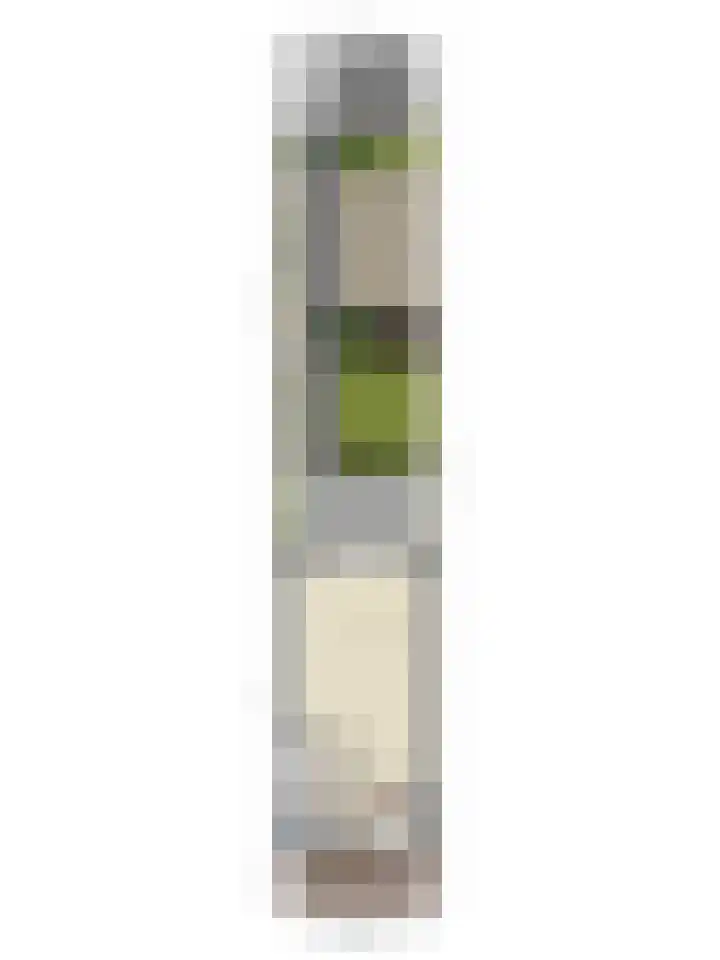 Middegaalspad 202 Veghel thumbnail 42