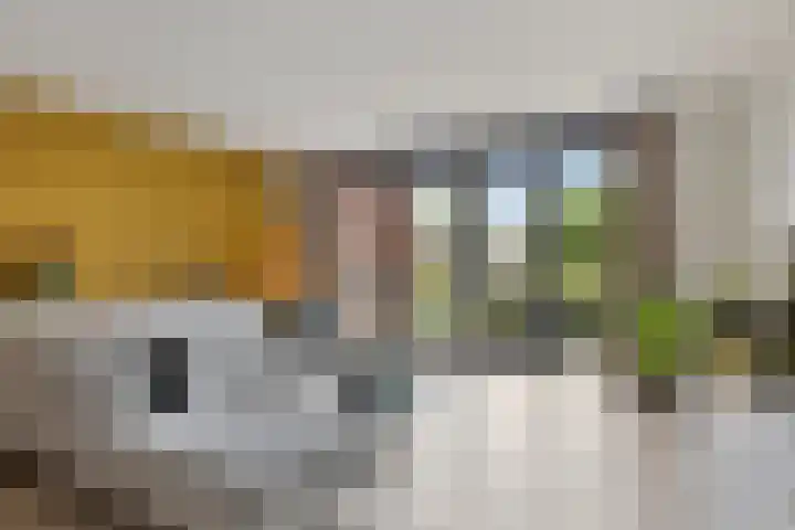 Middegaalspad 202 Veghel thumbnail 7