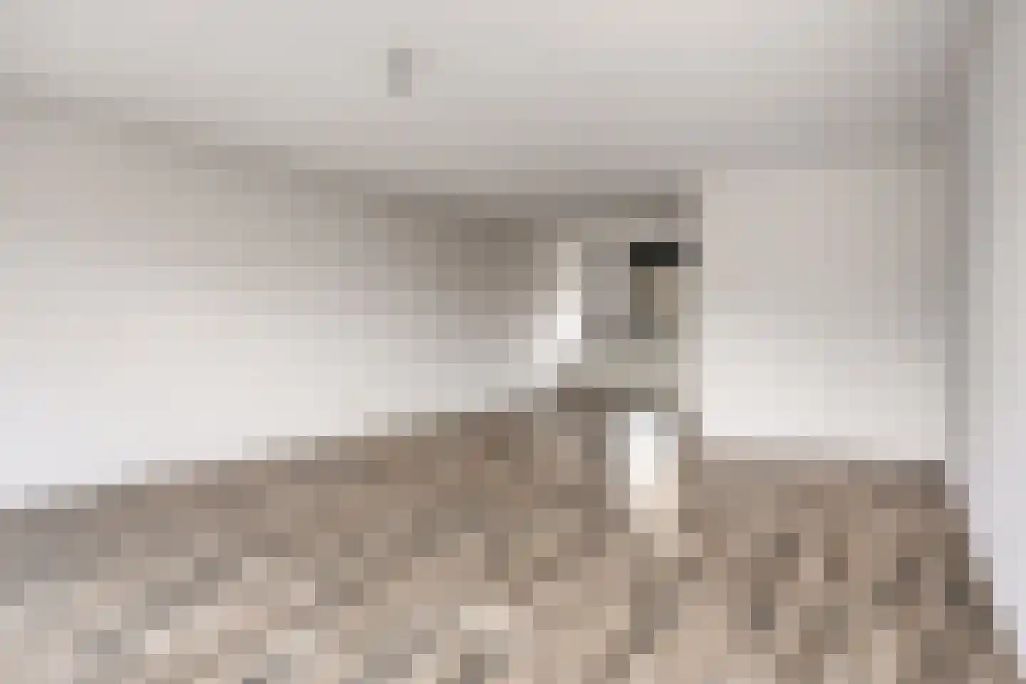 Middegaalspad 208 Veghel thumbnail 10