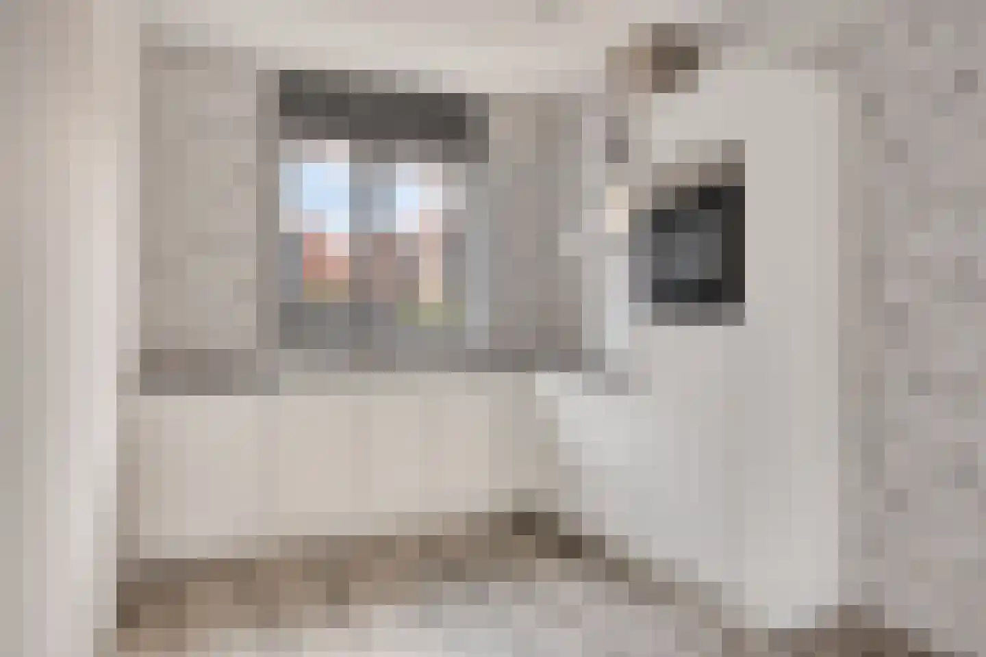 Middegaalspad 208 Veghel thumbnail 13