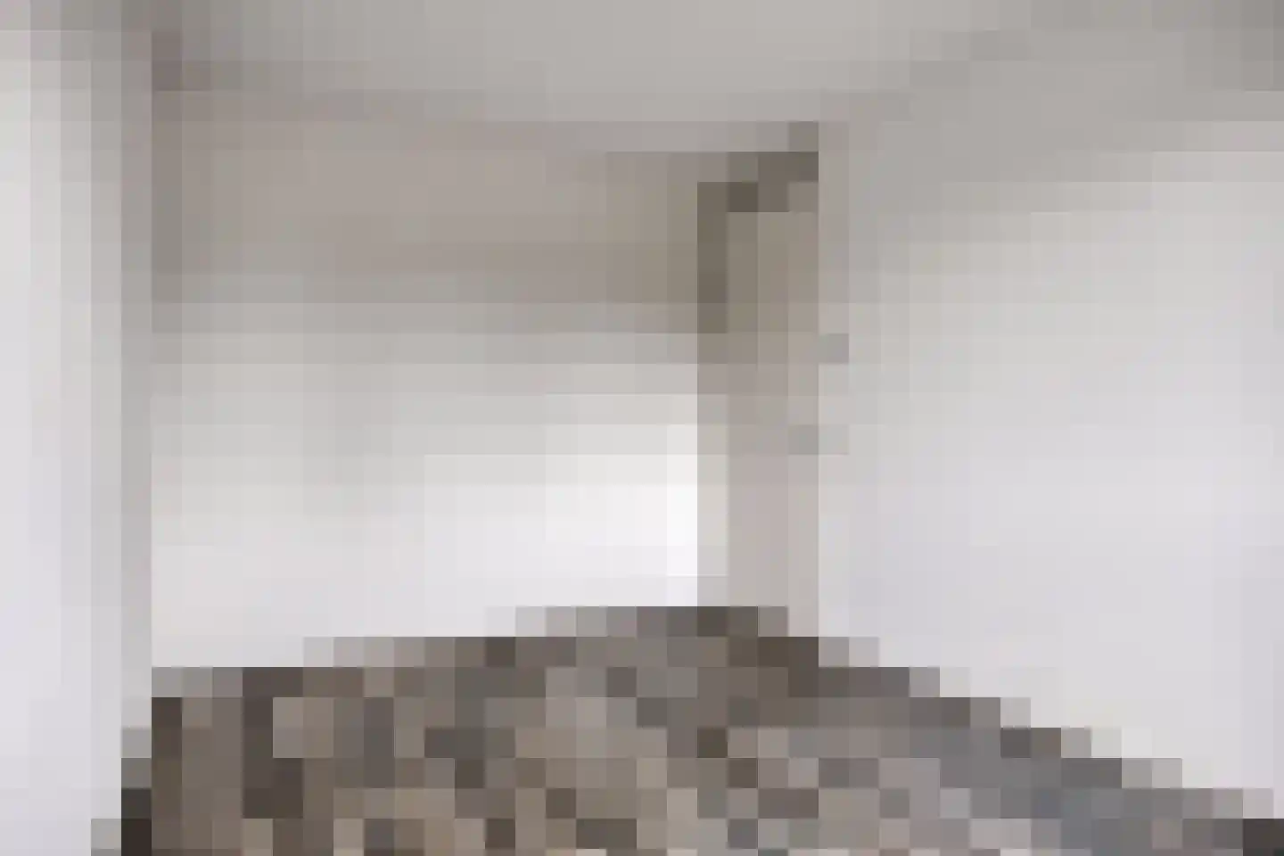 Middegaalspad 208 Veghel thumbnail 20