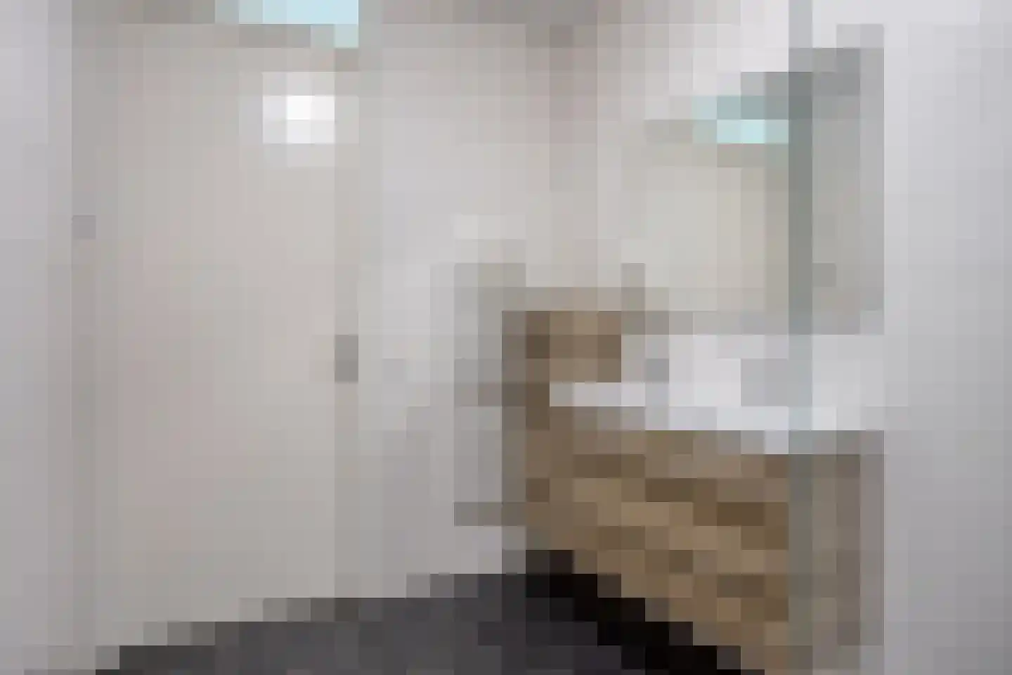 Middegaalspad 208 Veghel thumbnail 22