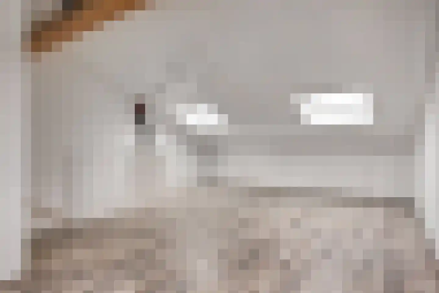 Middegaalspad 208 Veghel thumbnail 28