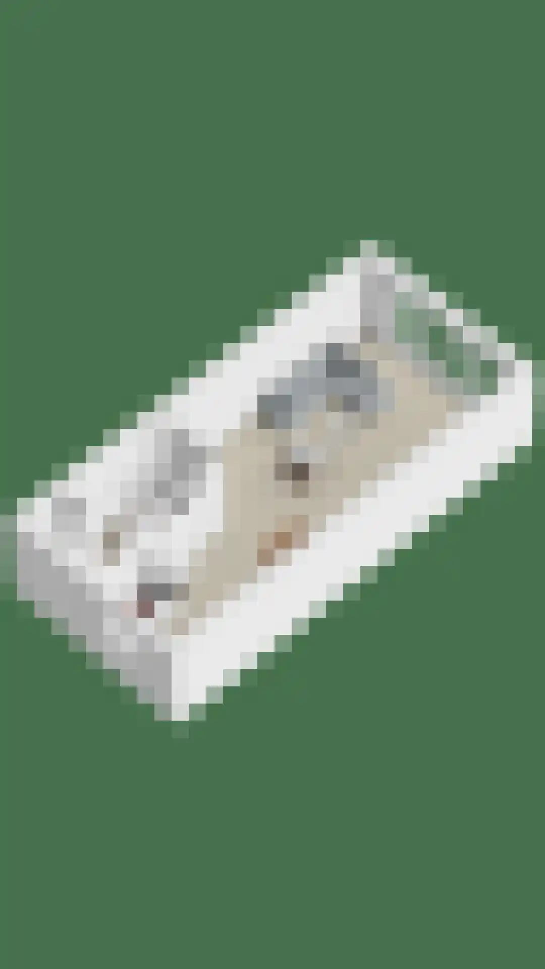 Middegaalspad 208 Veghel thumbnail 42