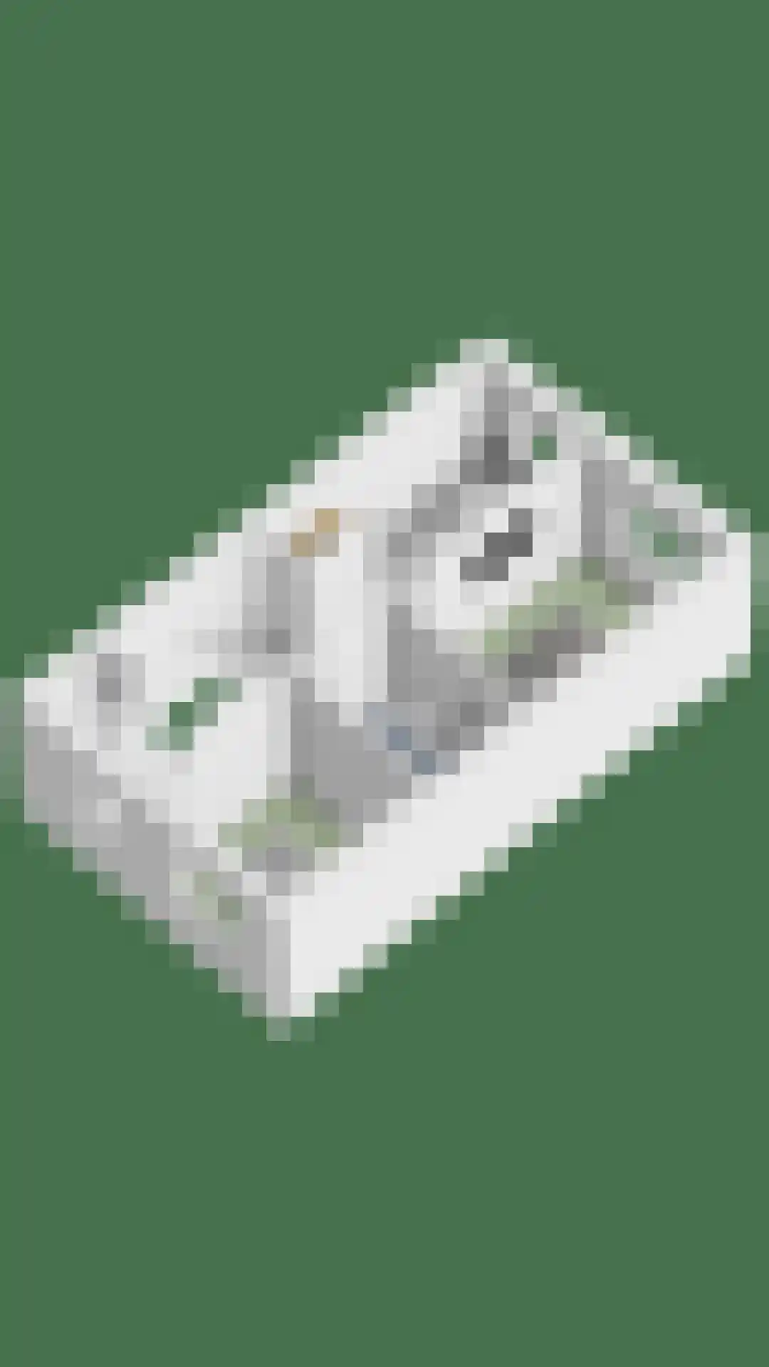 Middegaalspad 208 Veghel thumbnail 43
