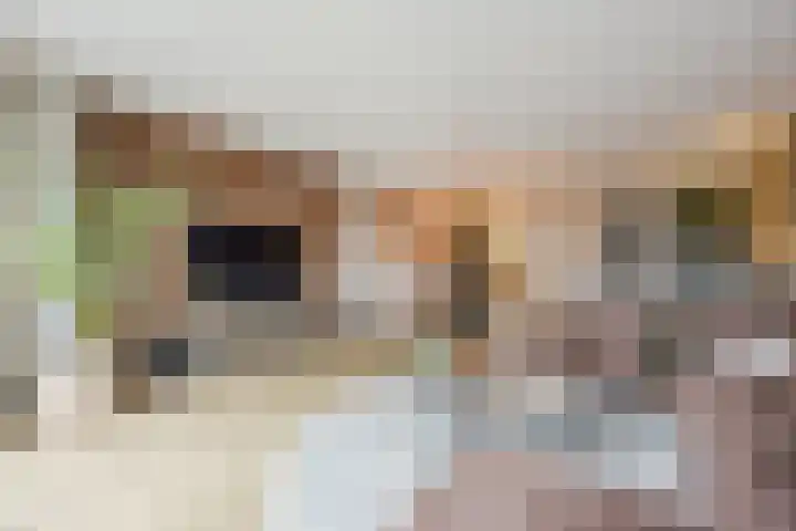 Middegaalspad 214 Veghel thumbnail 11