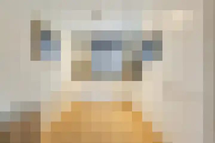 Middegaalspad 214 Veghel thumbnail 14