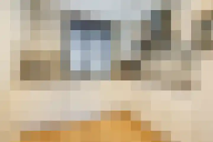 Middegaalspad 214 Veghel thumbnail 15