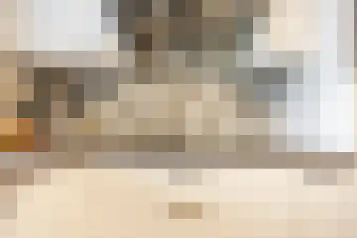 Middegaalspad 214 Veghel thumbnail 17