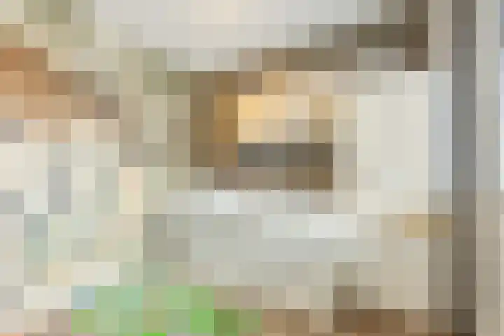 Middegaalspad 214 Veghel thumbnail 23