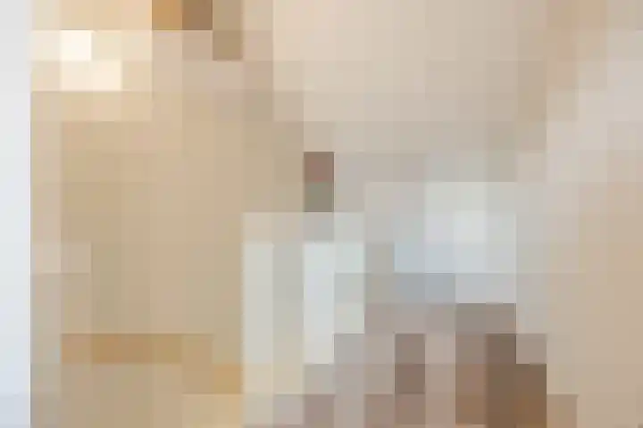 Middegaalspad 214 Veghel thumbnail 32
