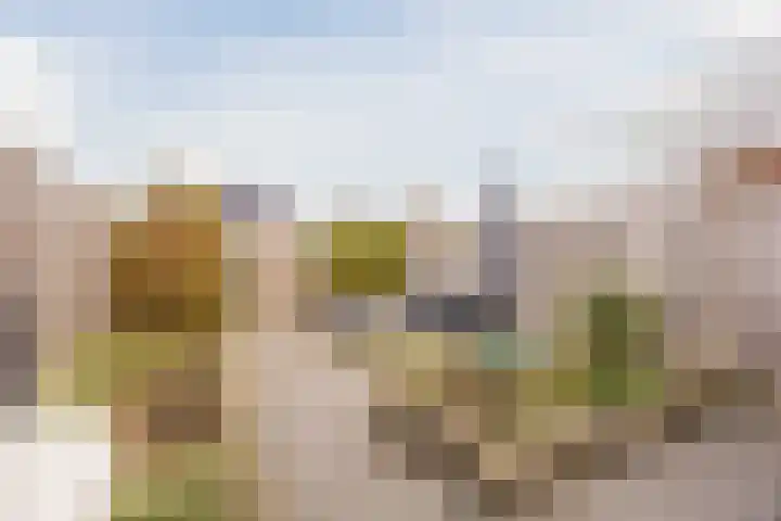 Middegaalspad 214 Veghel thumbnail 35