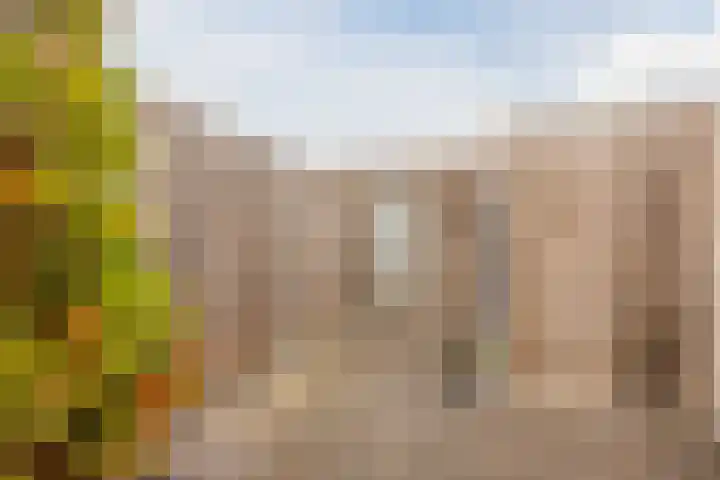 Middegaalspad 214 Veghel thumbnail 36