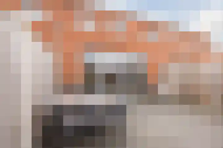 Middegaalspad 214 Veghel thumbnail 39