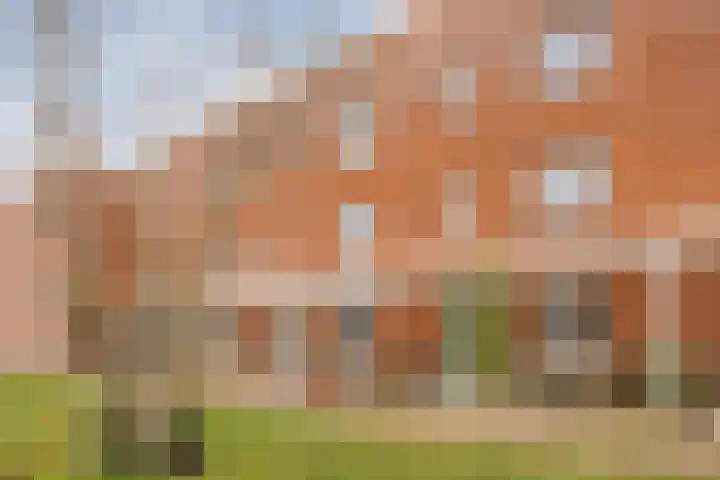 Middegaalspad 214 Veghel thumbnail 4