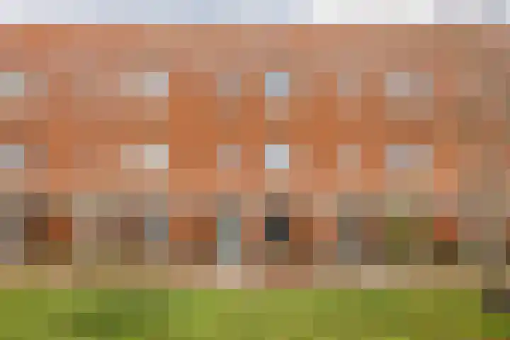 Middegaalspad 214 Veghel thumbnail 5