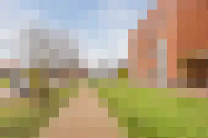 Middegaalspad 214 Veghel thumbnail 6