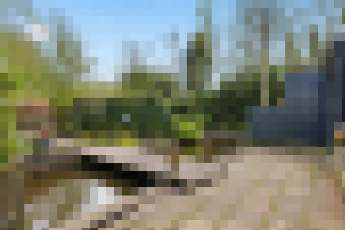 Middel 68 Westzaan thumbnail 18