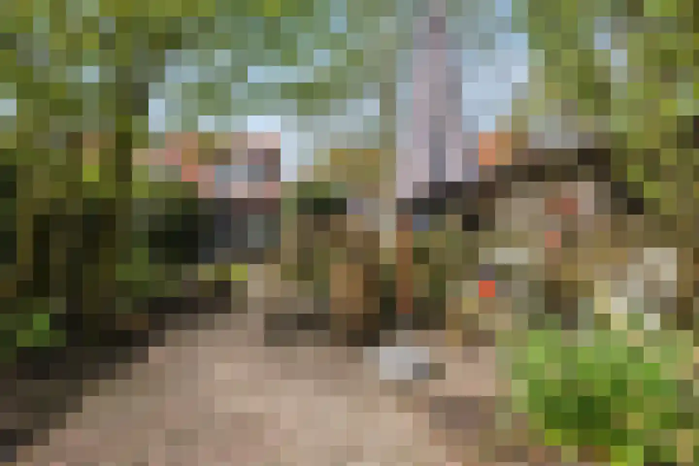 Middel 68 Westzaan thumbnail 19