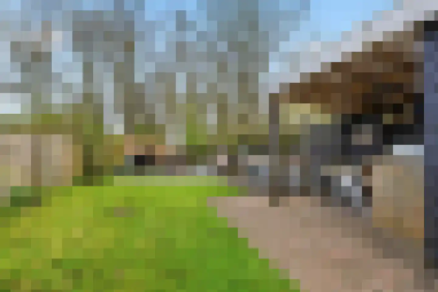 Middel 68 Westzaan thumbnail 21