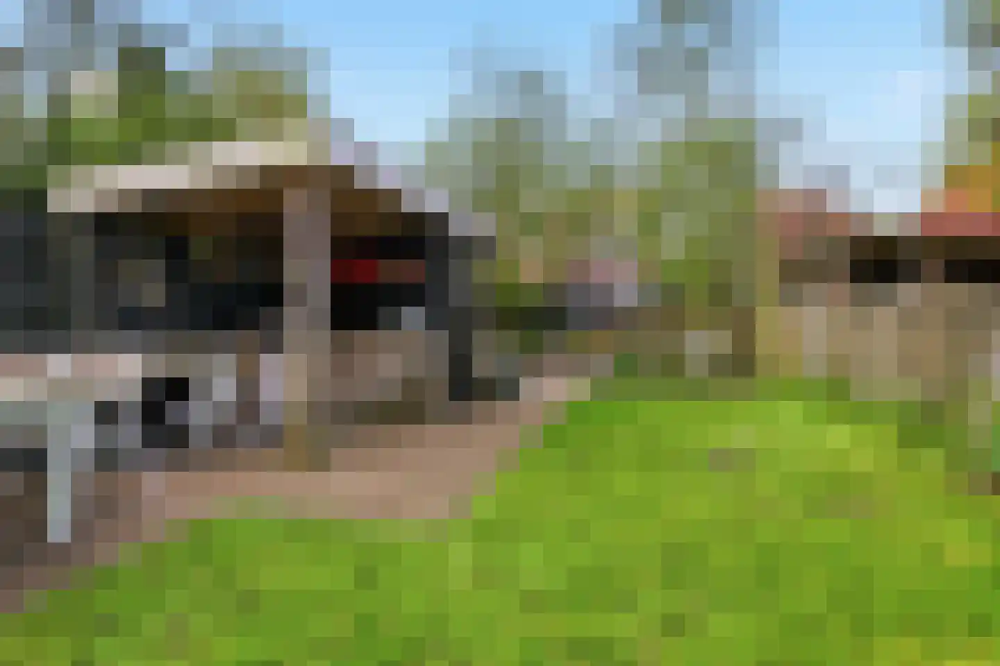 Middel 68 Westzaan thumbnail 22