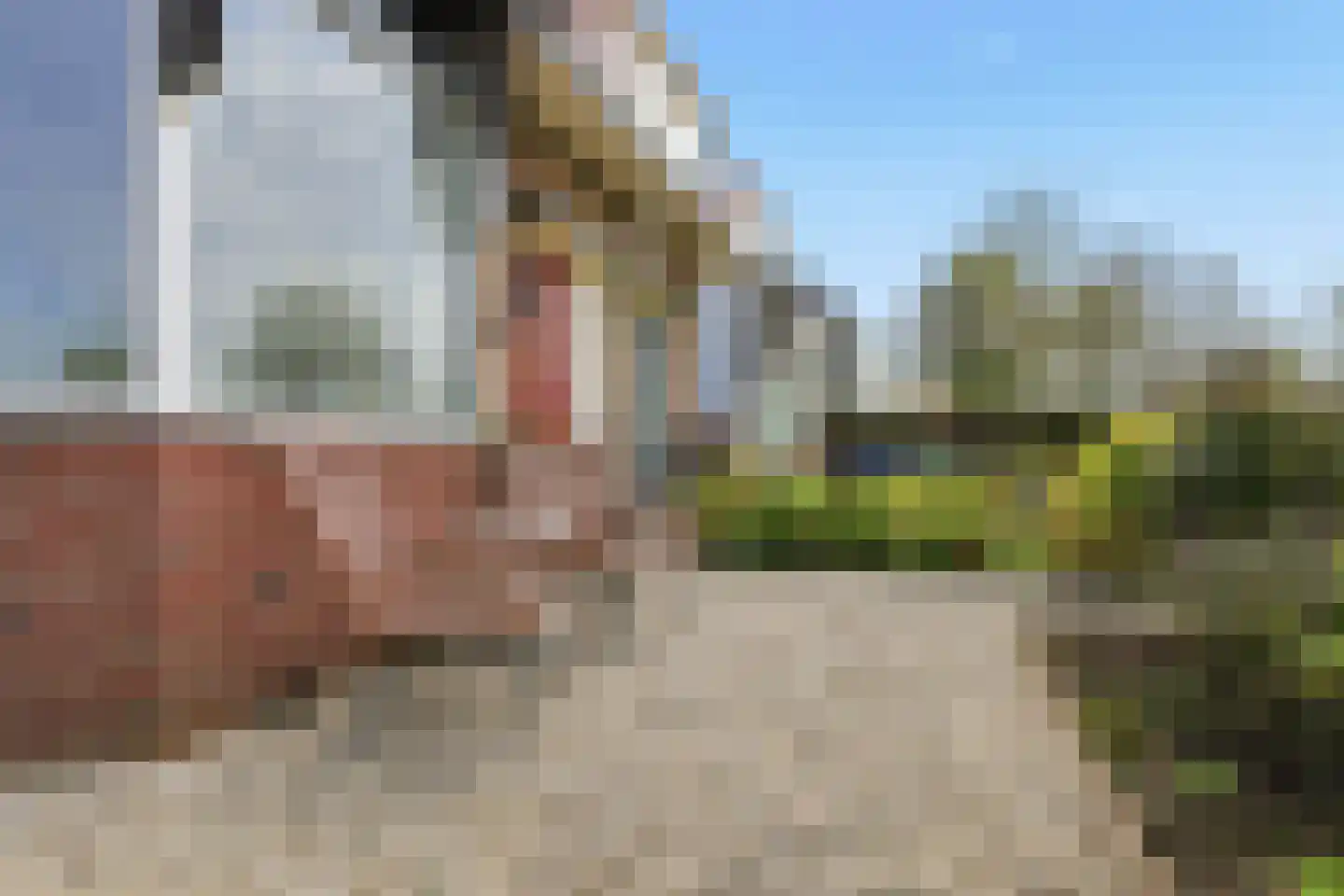 Middel 68 Westzaan thumbnail 47