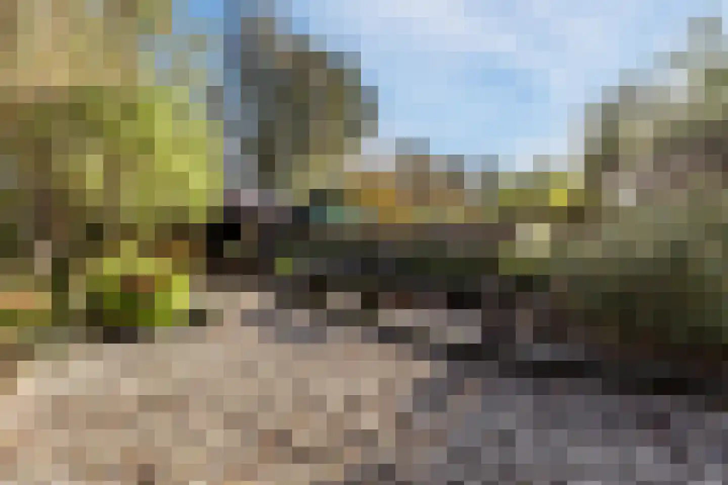 Middel 78 Westzaan thumbnail 10