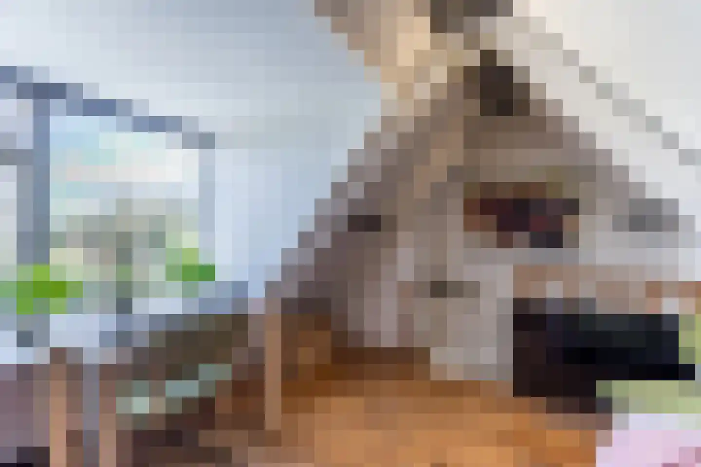 Middel 78 Westzaan thumbnail 37