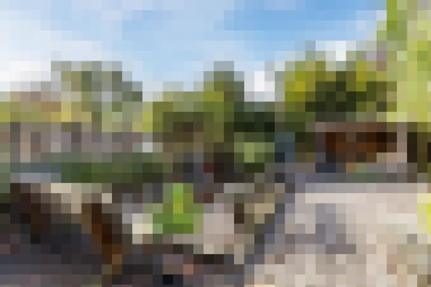 Middel 78 Westzaan thumbnail 46