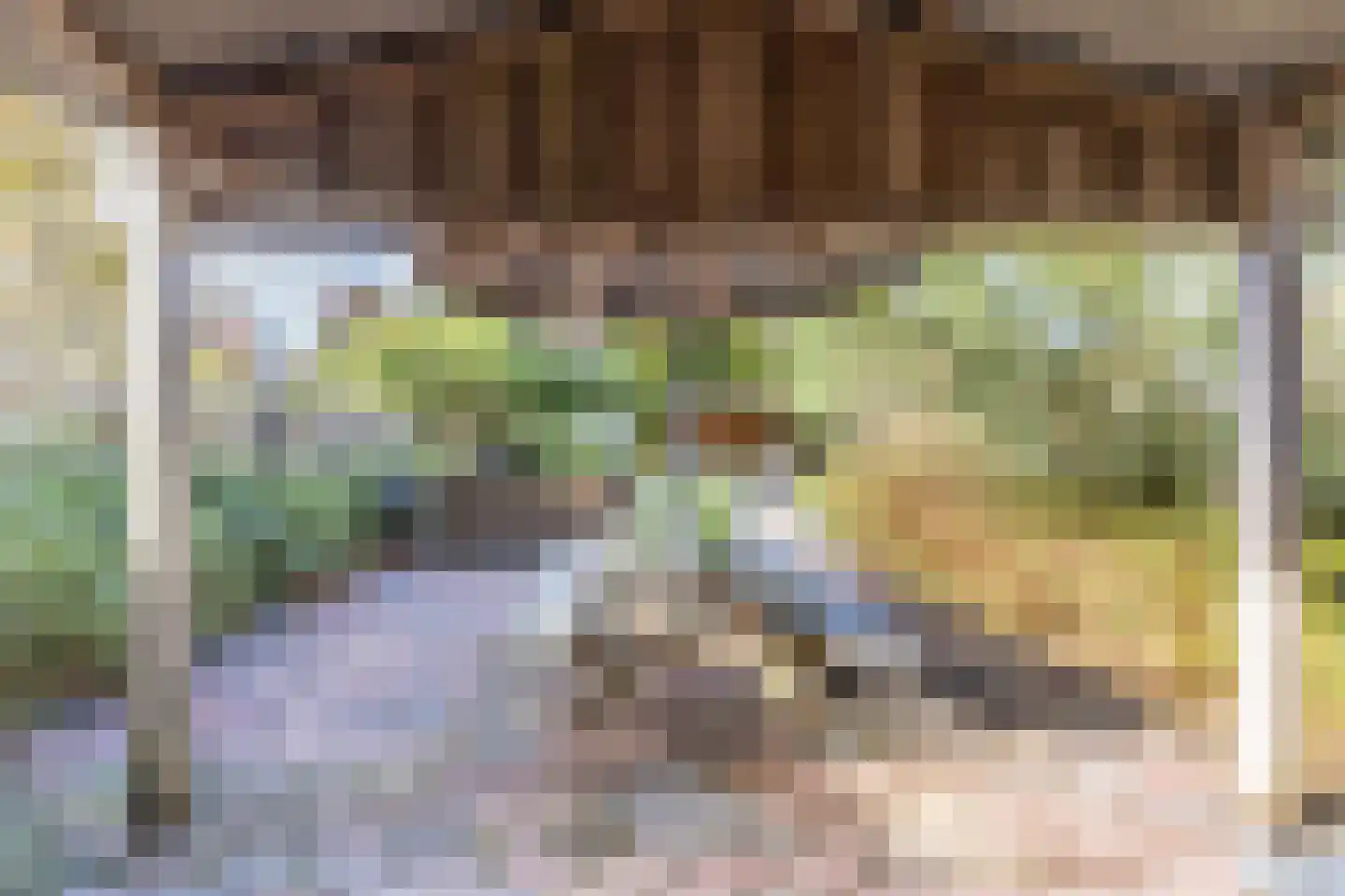 Middel 78 Westzaan thumbnail 5