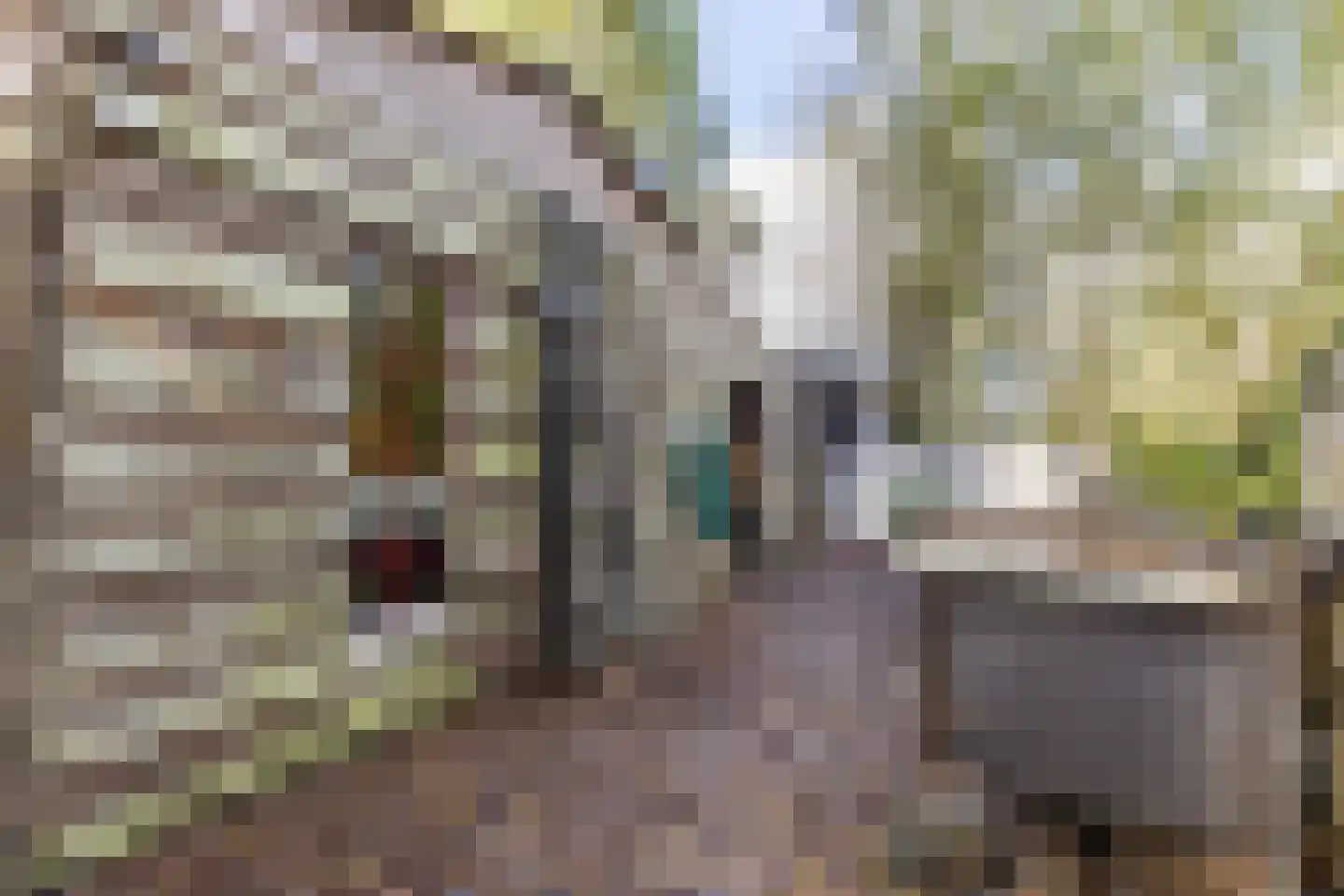 Middel 78 Westzaan thumbnail 51