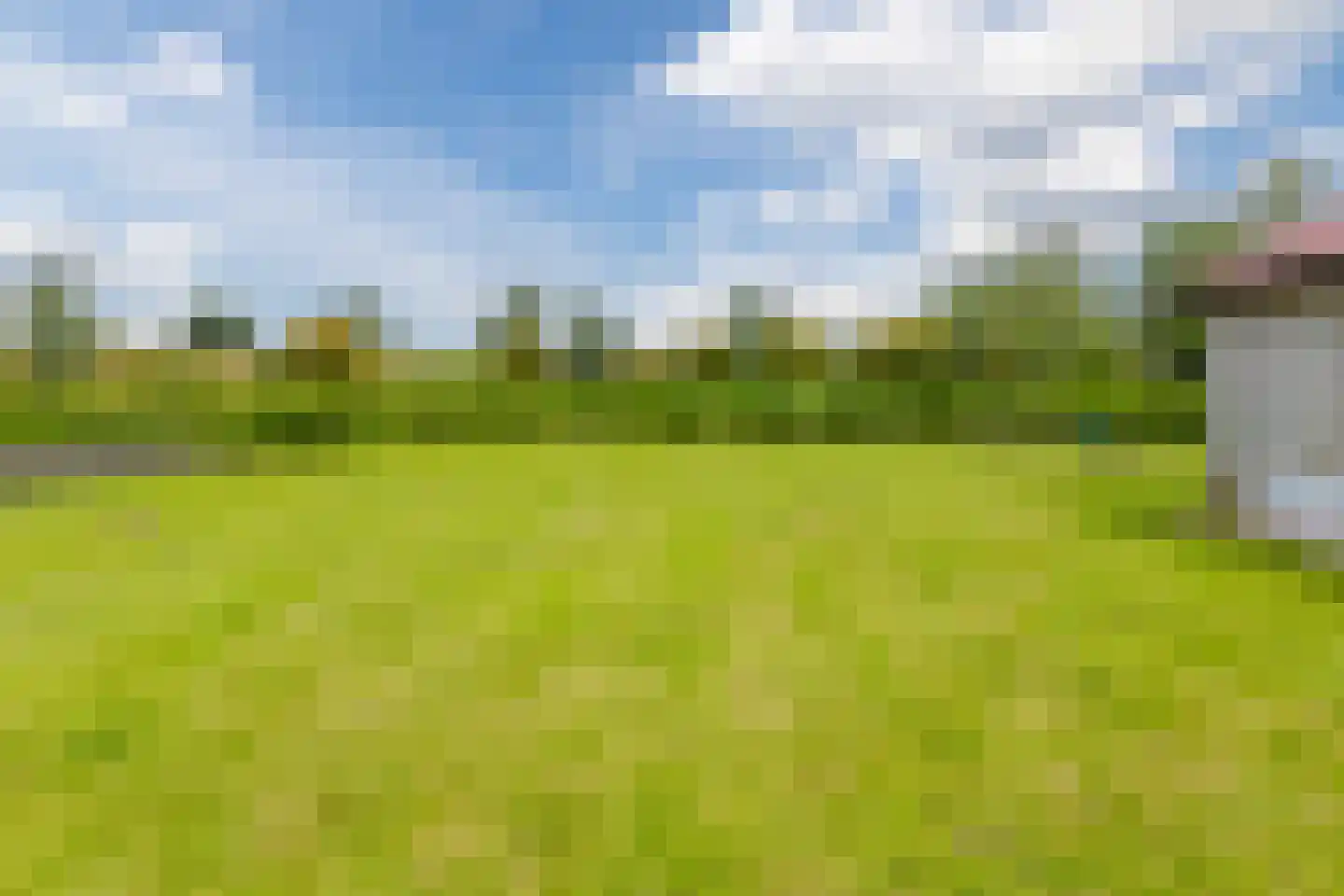Middel 94 Westzaan thumbnail 71