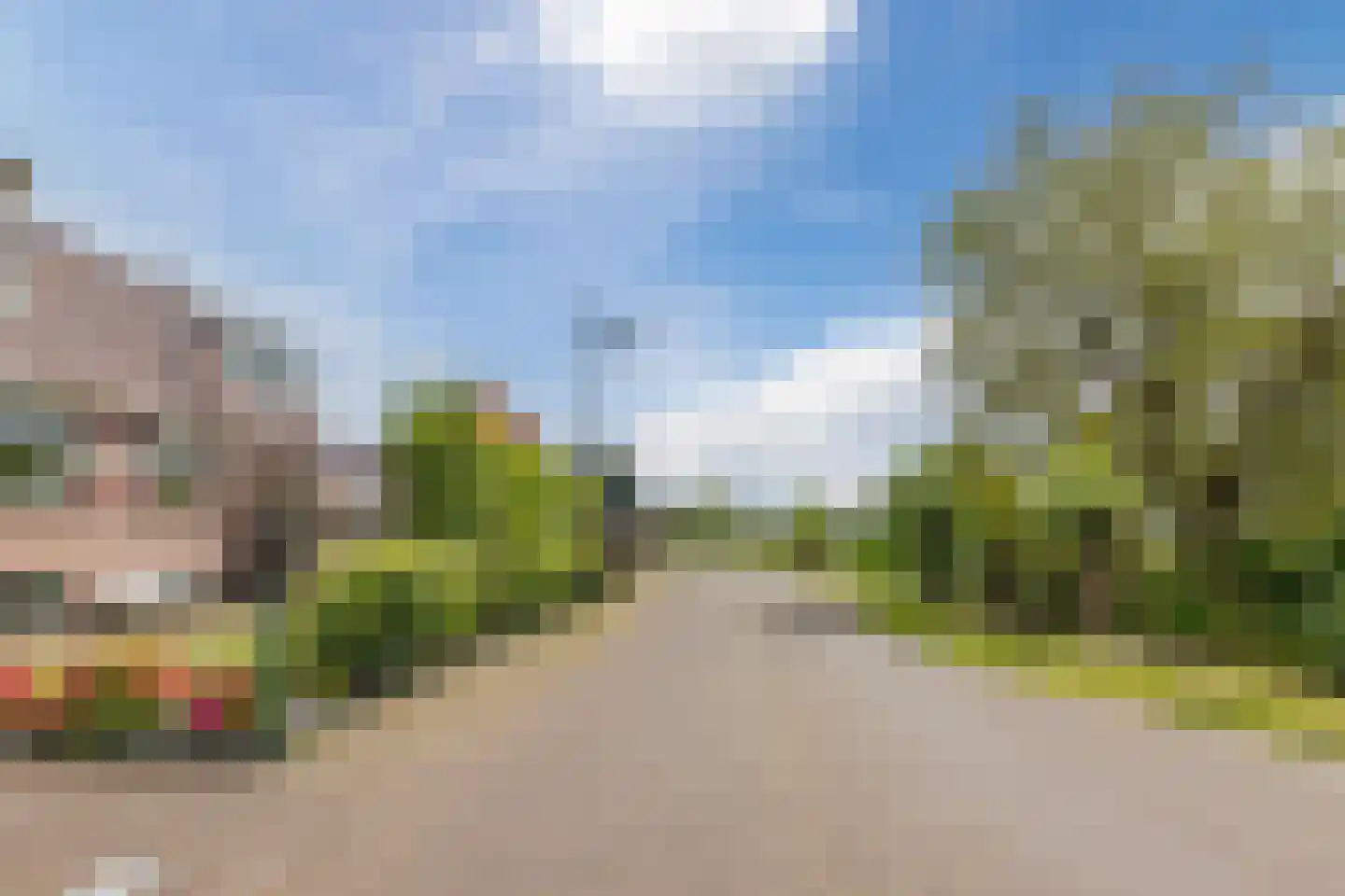 Middel 94 Westzaan thumbnail 78
