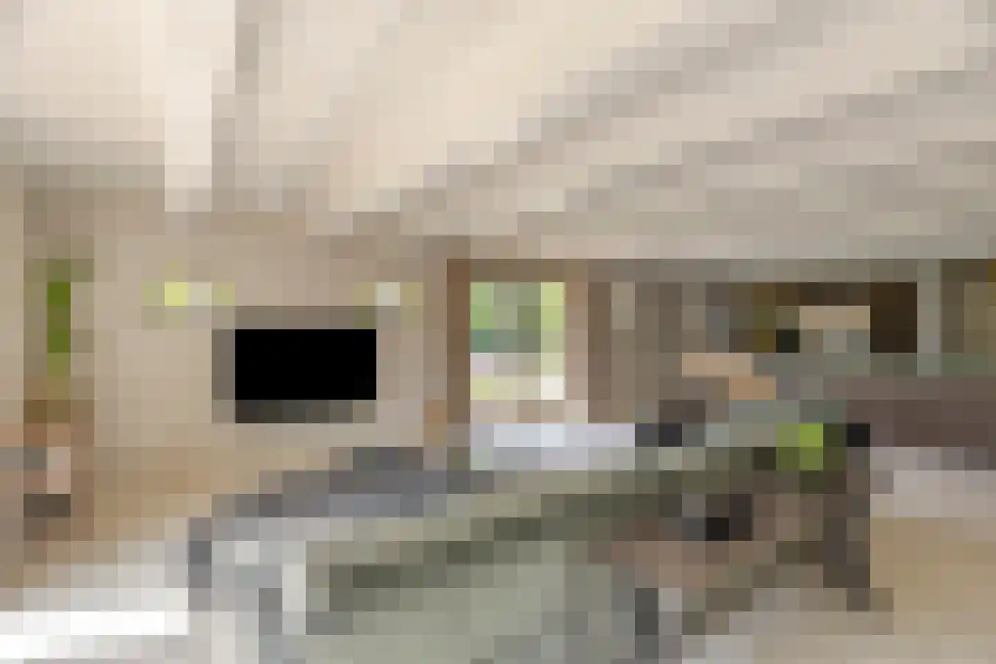 Middel 95 Westzaan thumbnail 15