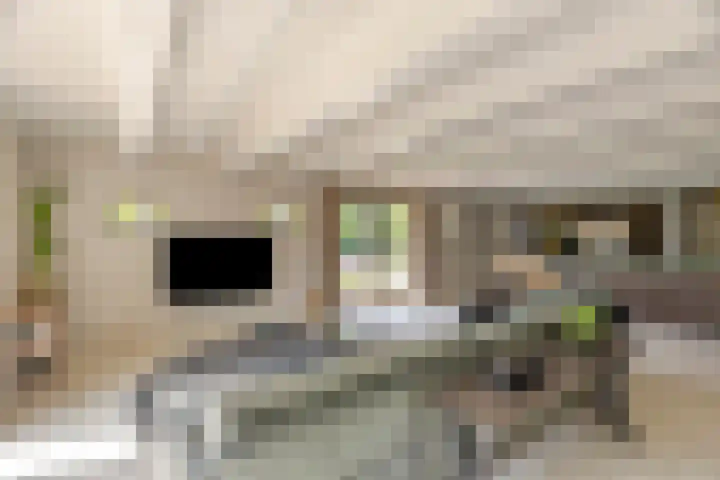 Middel 95 Westzaan thumbnail 15